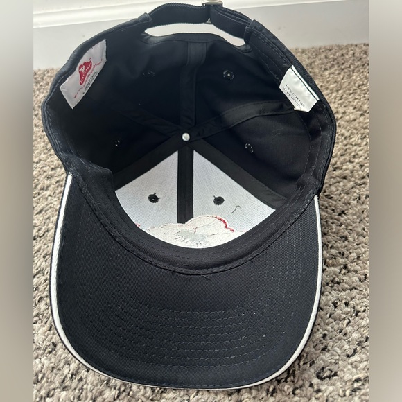 Vintage Flat Earth Promotional Hat - Picture 3 of 4